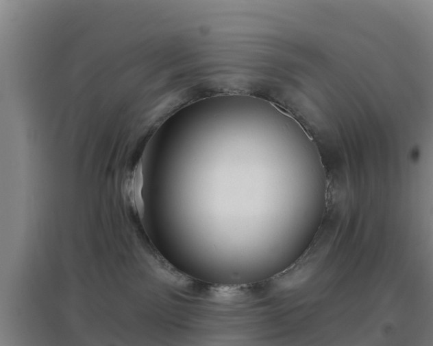 X0000096710141200802121233