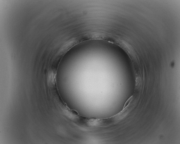 X0000096710142200802121233