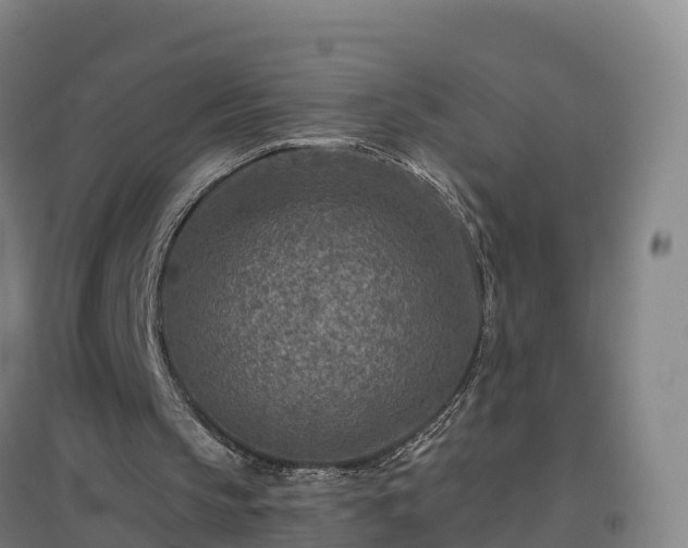 X0000096710145200802121233