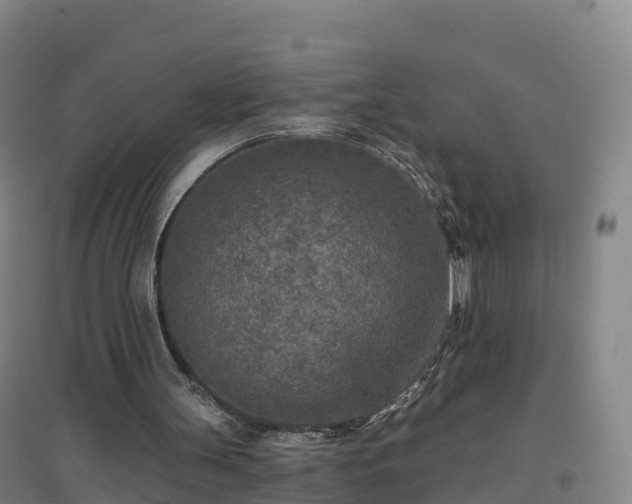 X0000096710147200802121233