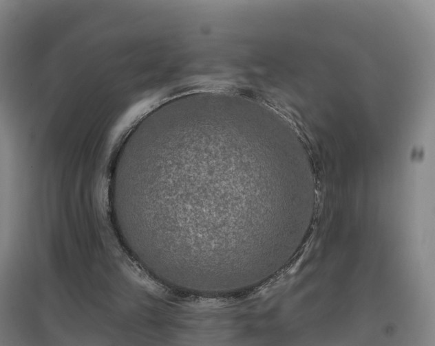 X0000096710149200802121233