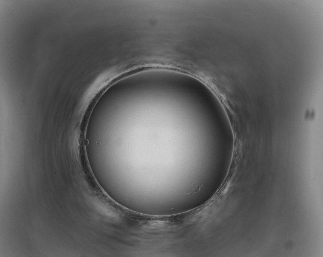 X0000096710151200802121233