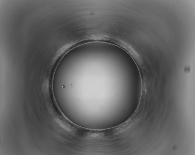 X0000096710155200802121233