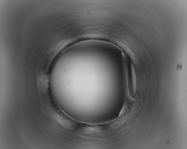 X0000096710160200802121233