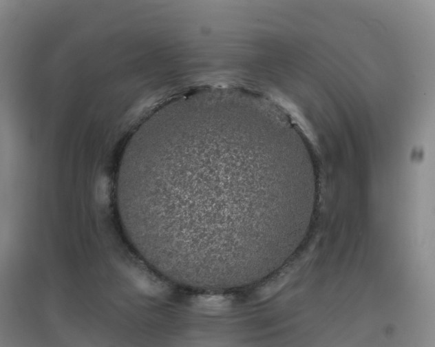 X0000096710161200802121233