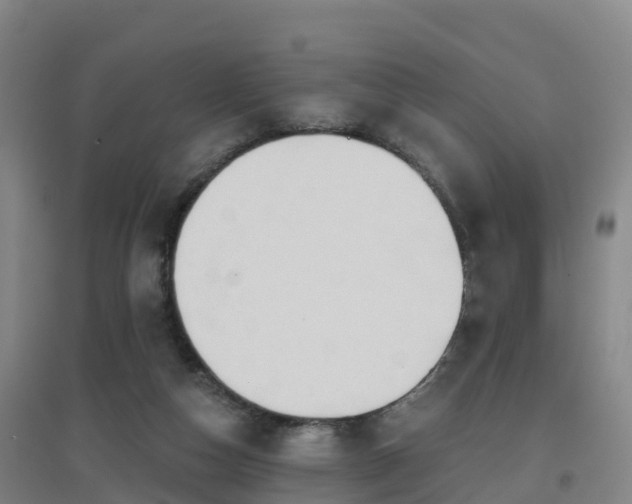 X0000096710162200802121233