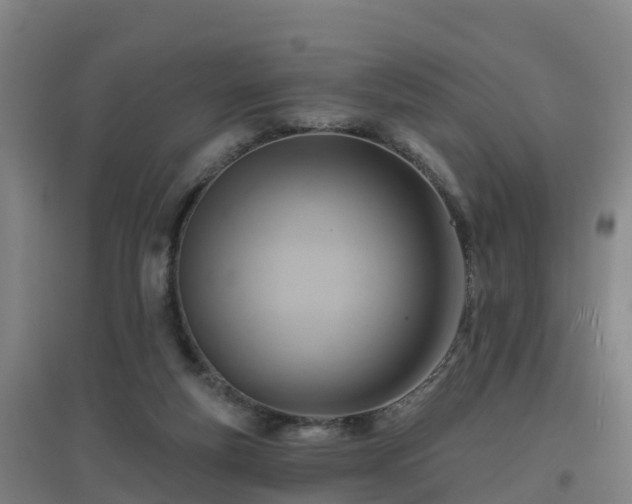 X0000096710163200802121233