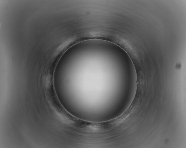 X0000096710164200802121233