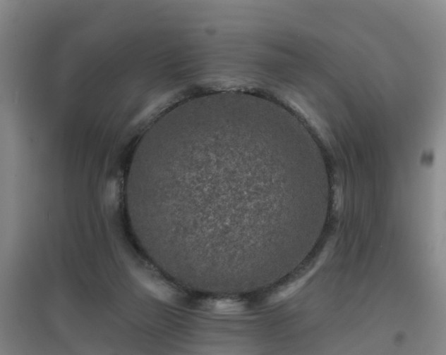 X0000096710165200802121233