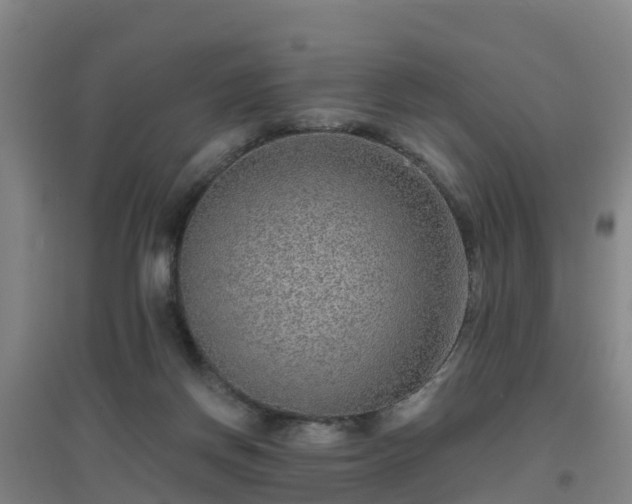 X0000096710166200802121233