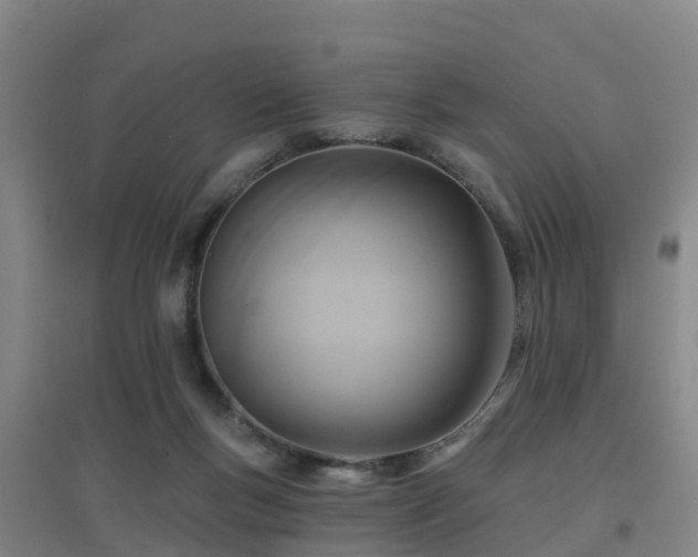 X0000096710167200802121233