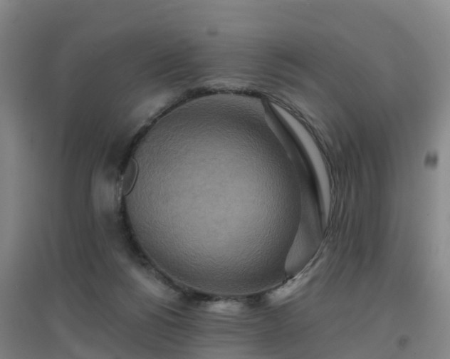 X0000096710168200802121233