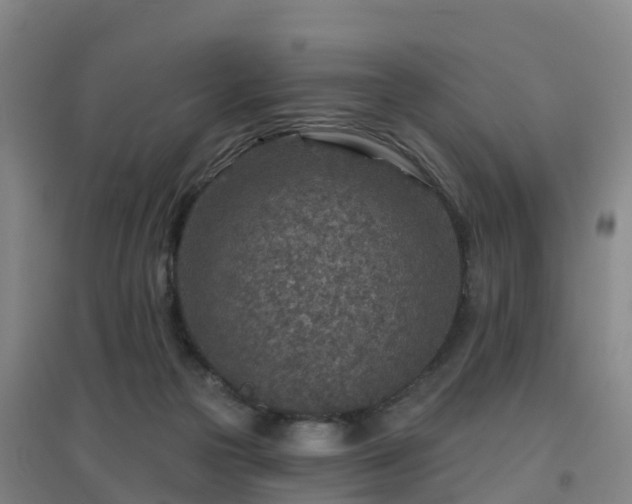 X0000096710169200802121233