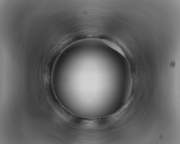 X0000096710170200802121233