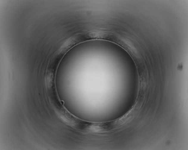 X0000096710171200802121233