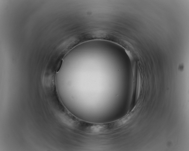 X0000096710172200802121233