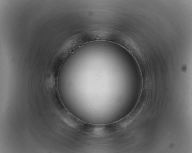 X0000096710173200802121233