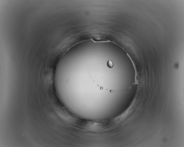 X0000096710174200802121233