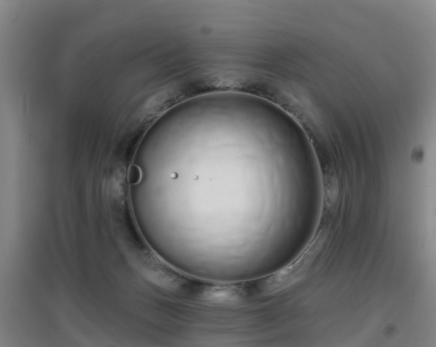 X0000096710175200802121233