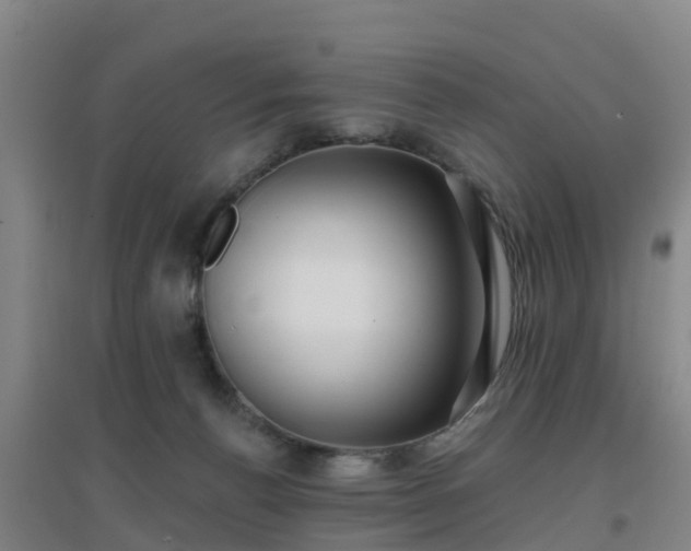 X0000096710176200802121233