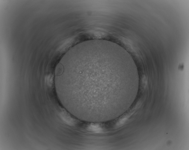 X0000096710177200802121233