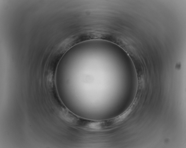 X0000096710178200802121233