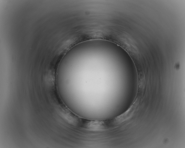 X0000096710179200802121233