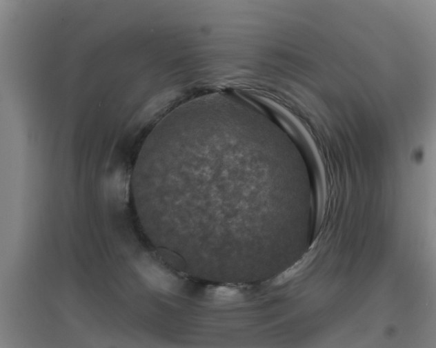 X0000096710180200802121233