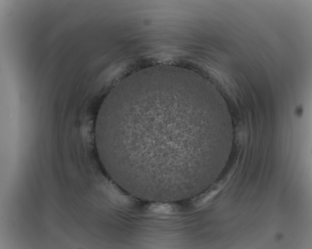 X0000096710181200802121233