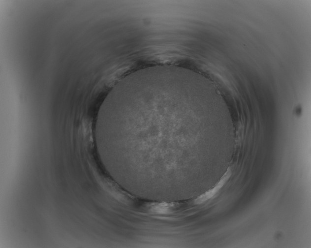 X0000096710182200802121233