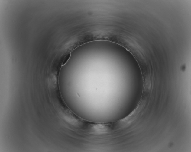 X0000096710183200802121233