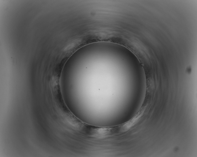 X0000096710184200802121233