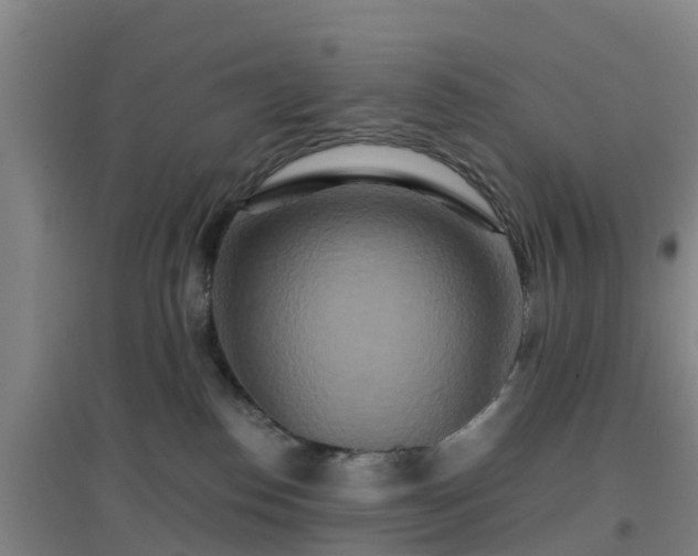 X0000096710186200802121233