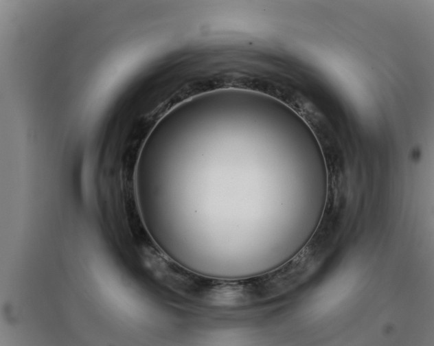 X0000096710189200802121233