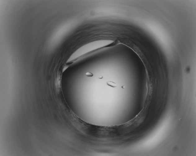 X0000096710190200802121233