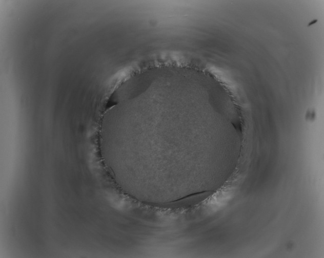 X0000096710192200802121233