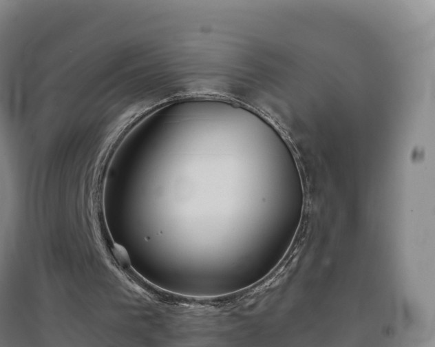 X0000096710193200802121233