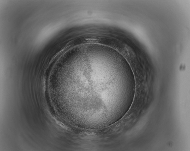 X0000096710194200802121233