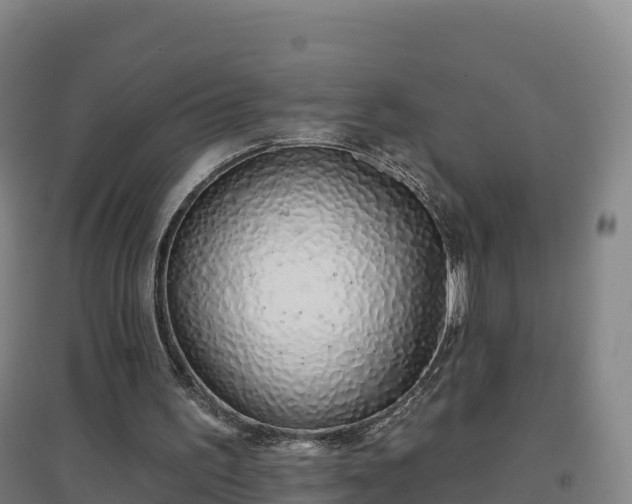 X0000096710195200802121233