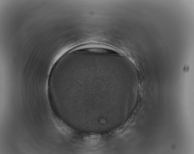 X0000096710196200802121233