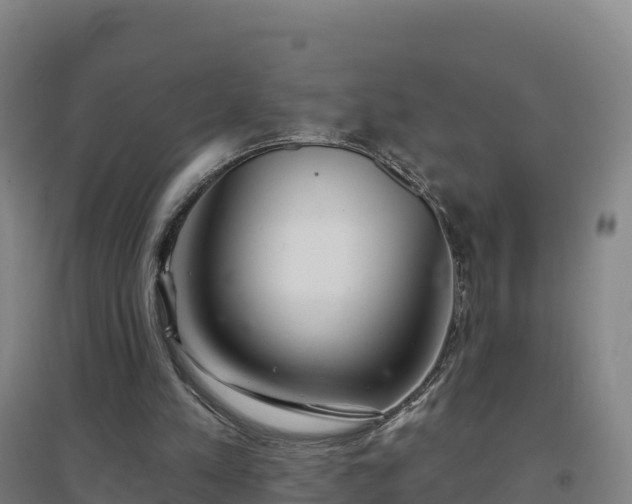 X0000096710197200802121233