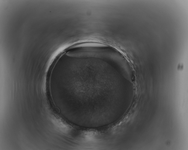 X0000096710200200802121233