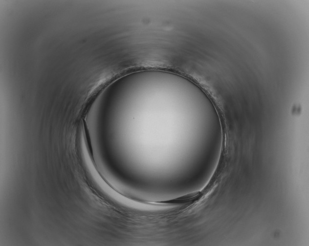 X0000096710201200802121233