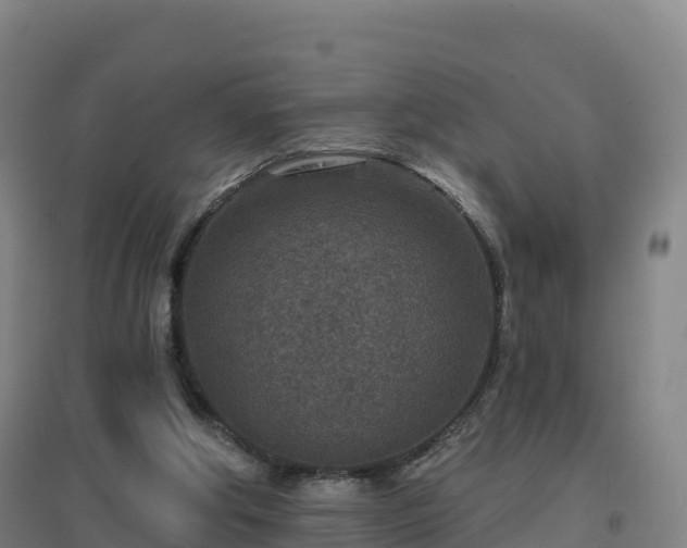 X0000096710202200802121233