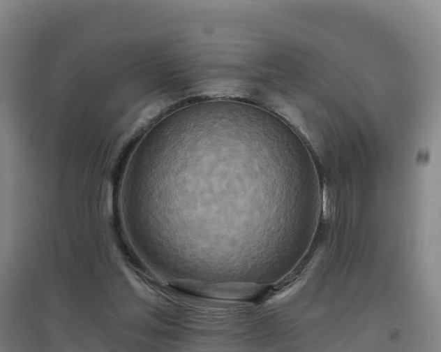 X0000096710205200802121233