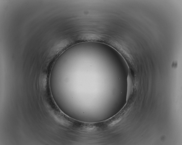 X0000096710206200802121232