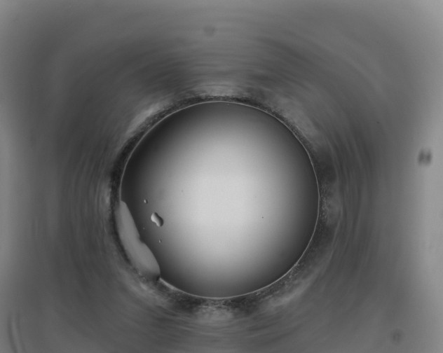 X0000096710207200802121232