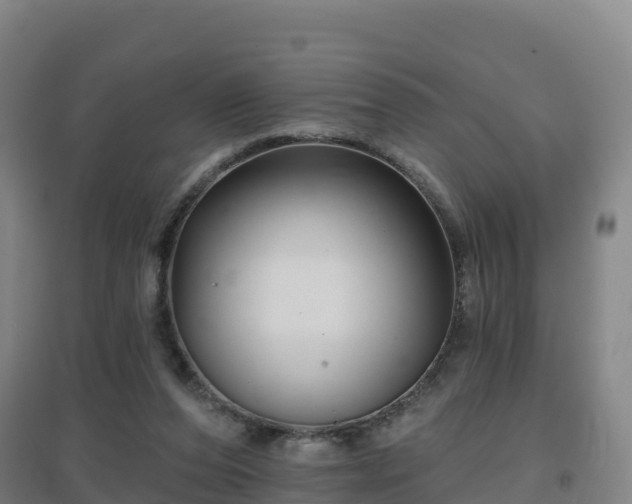 X0000096710208200802121232