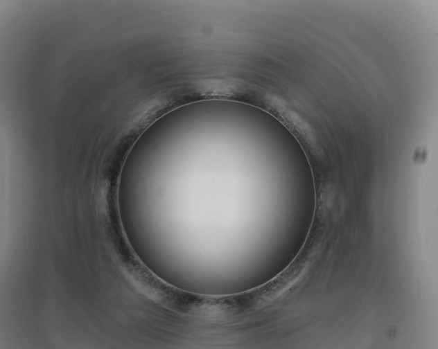 X0000096710209200802121232