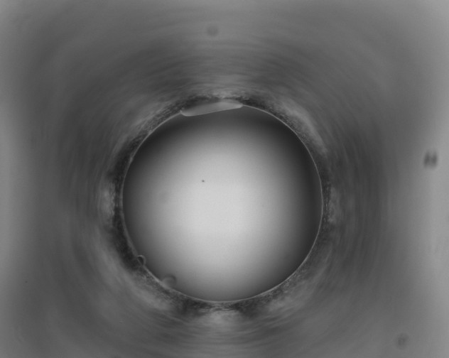 X0000096710210200802121232